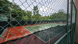 Tanglin Regency (D10), Condominium #597168281